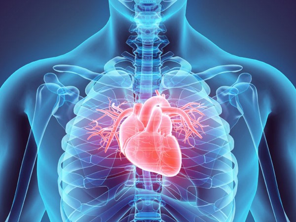 بأرقام دقيقة.. اختبار سريع يكشف العمر الفعلي لعضلة قلبك