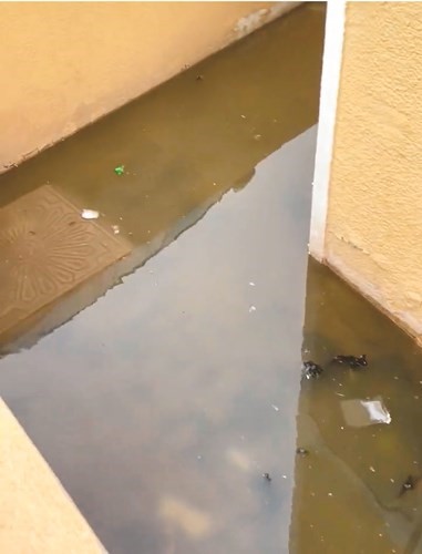 وتسرب لمياه الصرف في محيط الساحة الخارجية لأحد المساجد