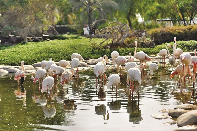حديقة الدندر في السودان من اهم مناطق الجذب السياحي