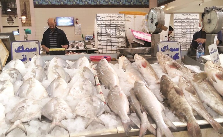 سريان قرار تنظيم مزادات الأسماك أول يونيو