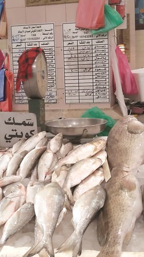 مصادر لـ «الأنباء»: بدء العمل بقرار تنظيم مزادات الأسماك أول يونيو  ورقابة مشددة لمنع دخول بائعين متجولين