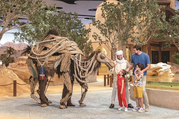 بالفيديو.. أبوظبي.. «صيف واحد لا يكفي»