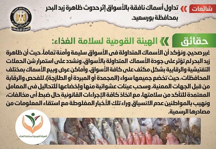 الحكومة تنفي تداول أسماك نافقة بالأسواق إثر حدوث ظاهرة زبد البحر ببورسعيد