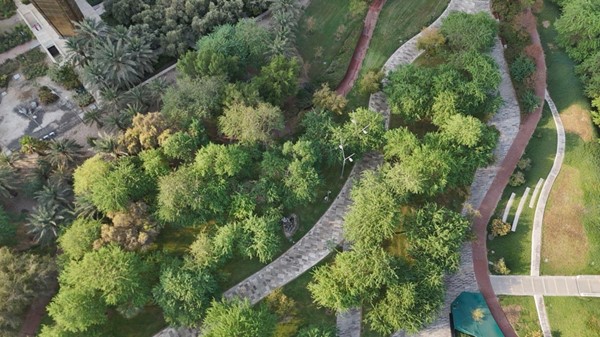 الكويت إحدى أكثر الدول إيماناً بأهمية التنمية الحضرية المستدامة الصديقة للبيئة وتنمية المساحات الخضراء