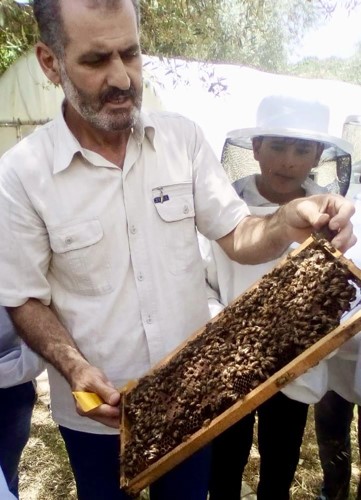 الخبير الزراعي رائد زيدان يعرض تجمعا للنحل على أحد الخلايا (محمود الطويل)
