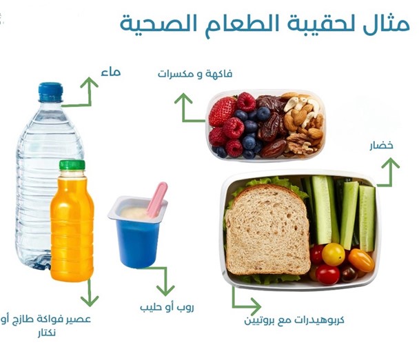 مواصفات حقيبة الطعام الصحية للطالب