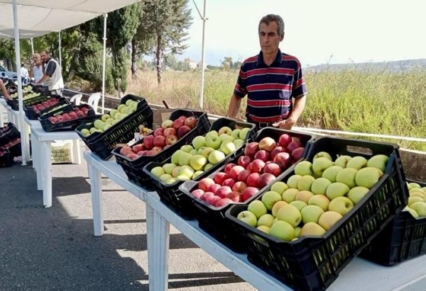  معرض التفاح في الباروك - الفريديس 