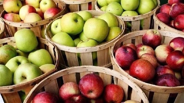  المنتوجات معروضة في سلال خشبية 