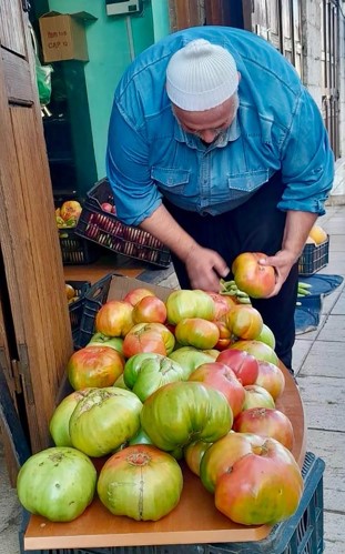 بندورة جبلية