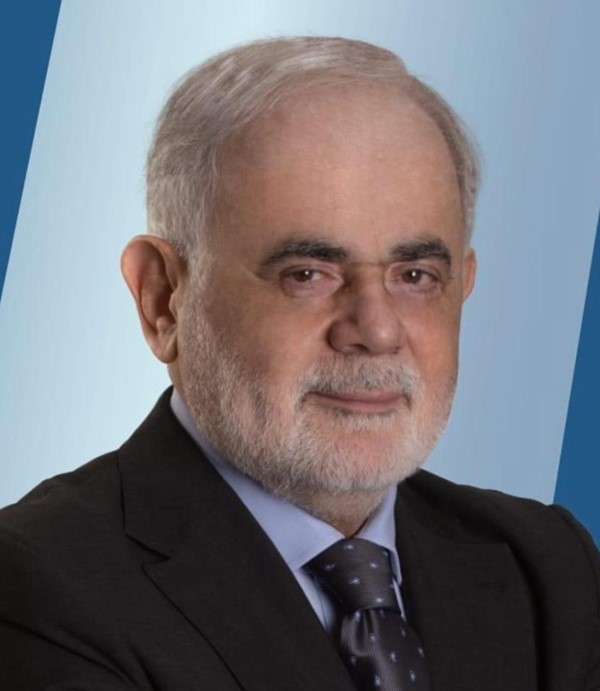 النائب السابق أمل أبو زيد