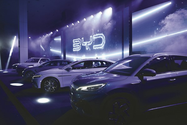 بعض سيارات BYD في المعرض