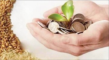 زكاة الفطر تطهّر النفس وتَجبُر الصوم