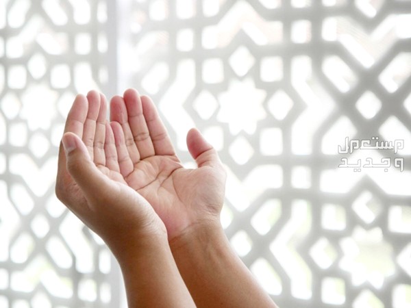 النجاة من المحن.. بقلم: د.عمر الشايجي