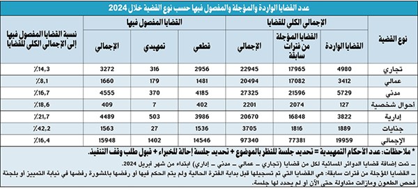 انخفاض قضايا الأحوال الشخصية بنسبة 63.8% وارتفاع الجنايات خلال 2024