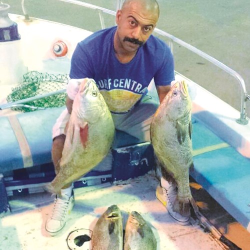بوراشد: الشماهي حضوره «الركسة» و«عوهة»