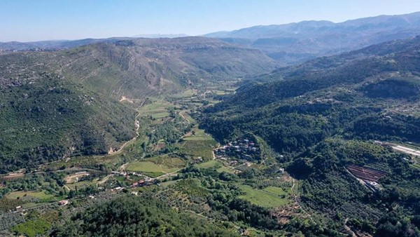 صورة عامة لمرج بسري (محمود الطويل)