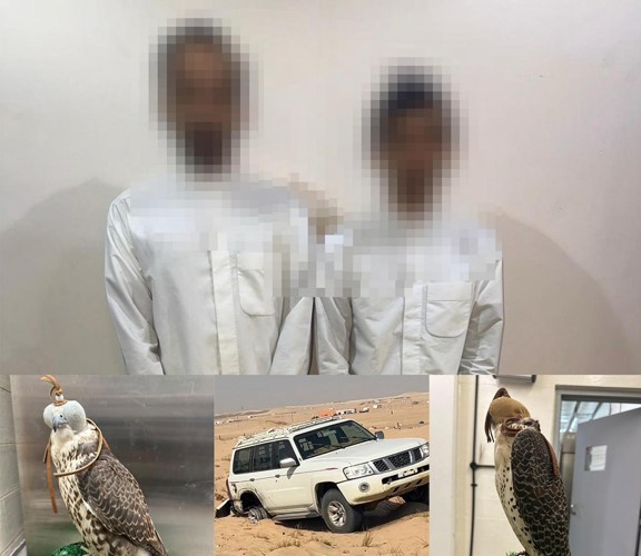 المتهمان أحيلا إلى جهة الاختصاص لاتخاذ الإجراءات القانونية بحقهما
