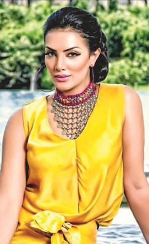 فرغلي تقاضي «سارقي حساباتها»