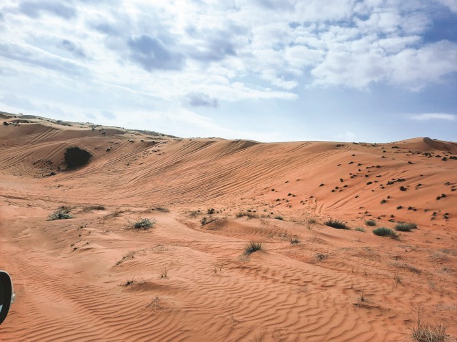 الرمال الذهبية في صحراء بدية وجهة سياحية مميزة
