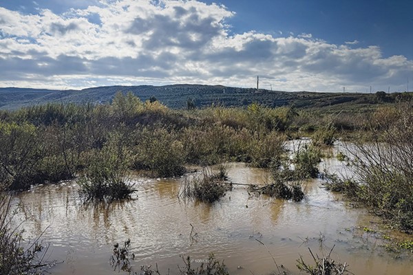 مجرى النهر الذي غرق فيه أشخاص حاولوا اجتياز الحدود السورية - اللبنانية