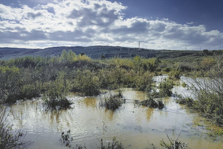 إنقاذ عدة أشخاص وغرق آخرين أثناء محاولة عبور الحدود السورية - اللبنانية بشكل غير نظامي