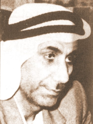 محمد زكريا الانصاري