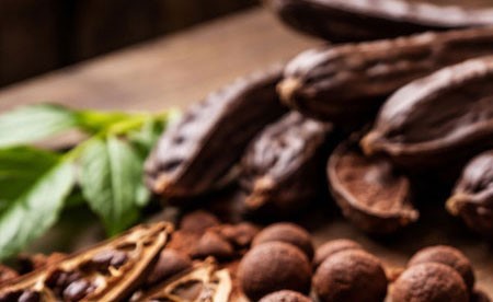 هل نقترب من عالم بلا شوكولاتة؟