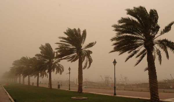 "الأرصاد": موجة هوائية باردة تسود البلاد اليوم حتى الأربعاء مع فرص لتشكل الصقيع