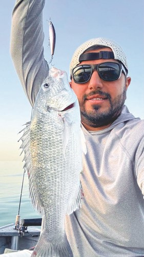 العلي: صيد السبيطي يكثر هالأيام