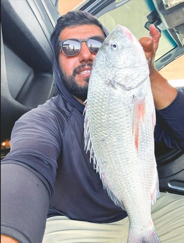 العلي: صيد السبيطي يكثر هالأيام