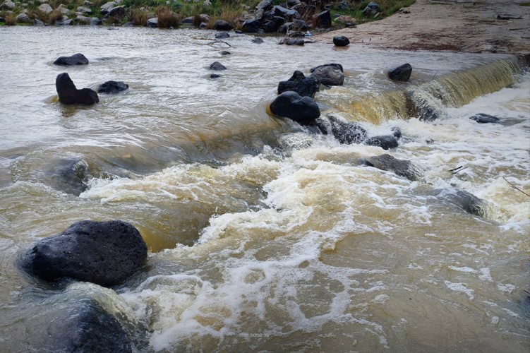 الأمطار والثلوج تبعث الروح في الأنهار والأودية في سورية