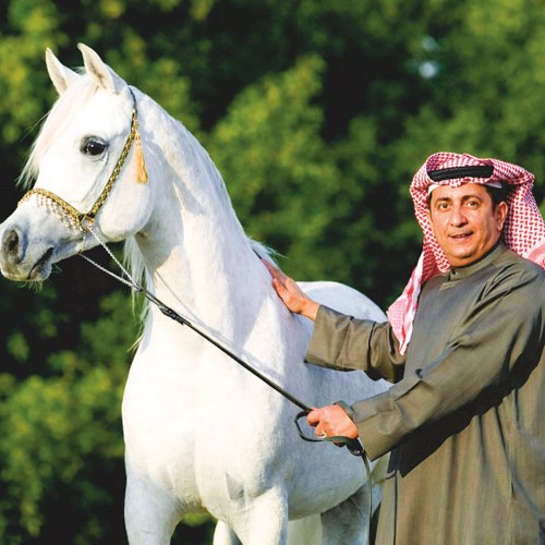 مالك مربط الدانات محمد سليمان العمر