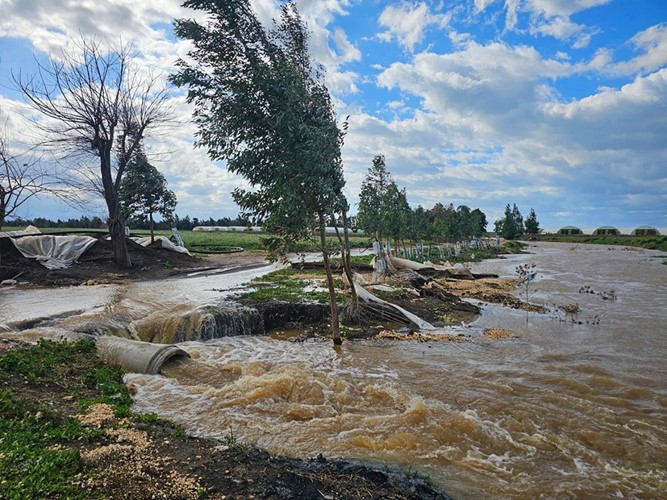 المزارعون في لبنان بين فرحة الأمطار ومخاوف الصقيع والعواصف والبرد القارس