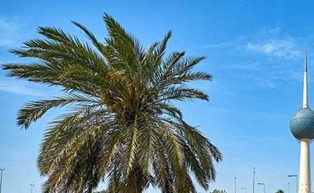 "الأرصاد": طقس معتدل نهاراً وبارد إلى شديد البرودة ليلاً.. و"العظمى": 19