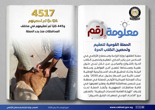 مجلس الوزراء: وزارة الزراعة تُطلق الحملة القومية لتعقيم وتحصين الكلاب الحرة