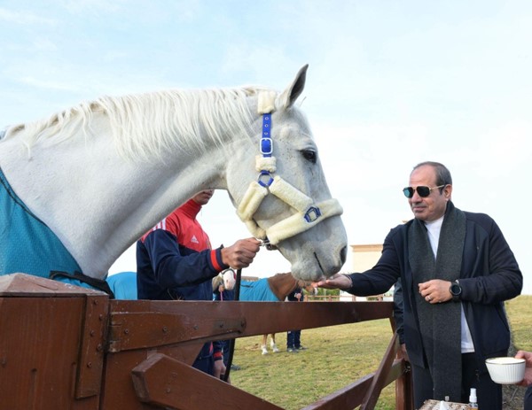 السيسي: المناهج الدراسية بالأكاديمية العسكرية تضمن جدارة التعليم