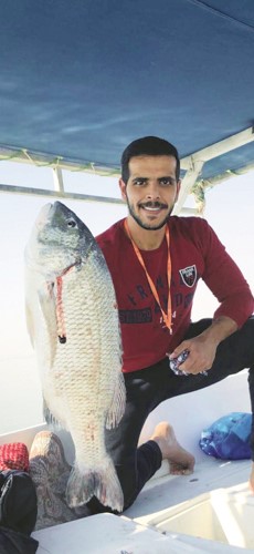 الصاهود: التونة العُمانية صيدها بـ «السردين»