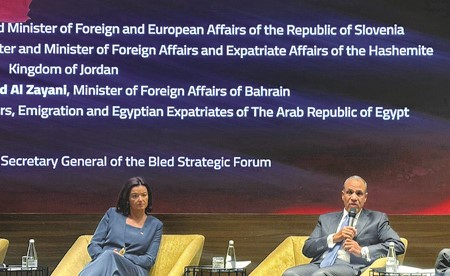وزير الخارجية: أي مقاربة للسلام يجب أن تربط بين إدارة الأزمة الراهنة بغزة والأفق الأشمل للقضية الفلسطينية