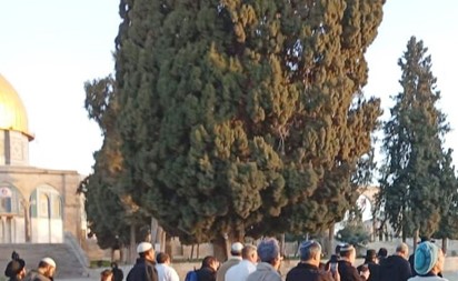 عشرات المستوطنين يقتحمون المسجد الأقصى في أول أيام شهر رمضان المبارك