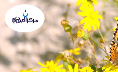 مركز العجيري: ملامح فصل الربيع تبدأ بالظهور الأسبوع المقبل