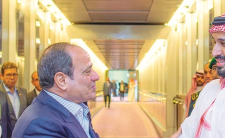 السيسي وبن سلمان يؤكدان أهمية تجنّب التصعيد والتوتر في المنطقة