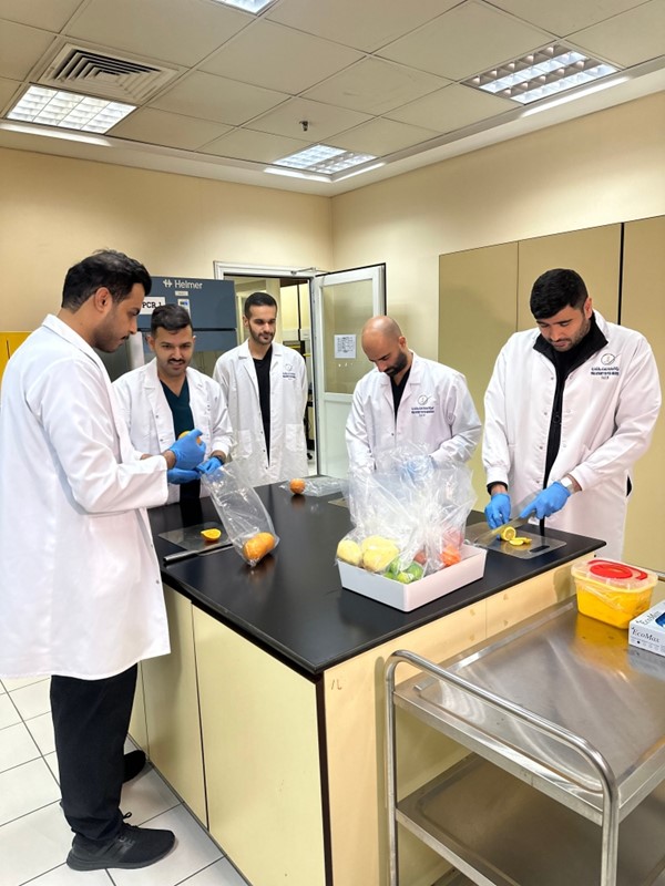 وزيرة شؤون التنمية والاستدامة: منظومة الأمن الغذائي «مستقرة» والسوق المحلية تشهد توافراً في السلع الغذائية