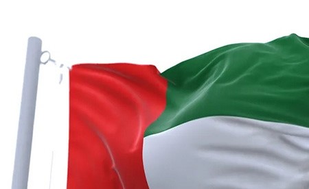 الدفاعات الجوية الإماراتية تتعامل مع 9 صواريخ باليستية و109 طائرات مسيّرة