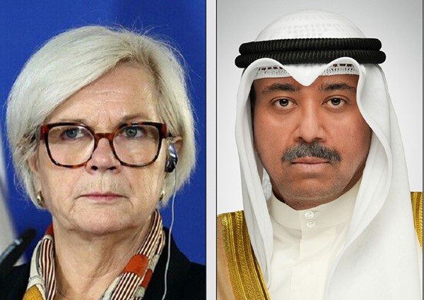 وزير الدفاع بحث هاتفياً مع وزيرة الجيوش في فرنسا إمكانية تقديم تعزيزات دفاعية