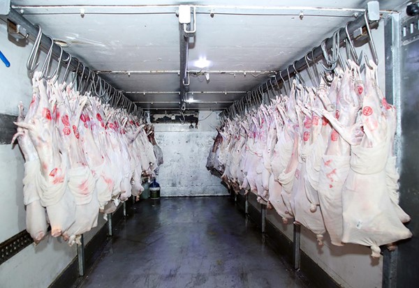  التجارة : وصول أولى رحلات الخطوط الكويتية لنقل المواد الغذائية الطازجة إلى البلاد