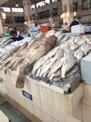 استمرار استيراد الأسماك عبر المنافذ البرية