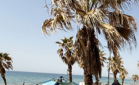 نقيب الوسطاء والاستشاريين العقاريين وليد موسى لـ «الأنباء»: العقار ملكية خاصة ولا يمكن إجبار أحد على التأجير