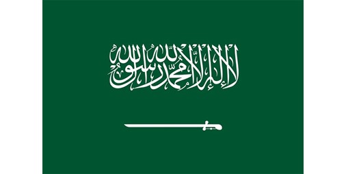 السعودية تؤكد دعمها استمرارية العمليات التشغيلية البحرية وضمان حماية إمدادات الطاقة وسلاسل الإمداد