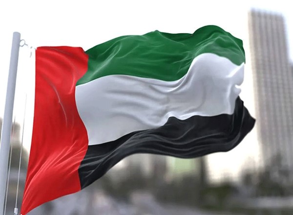 «الدفاع» الإماراتية: تعاملنا مع 9 طائرات مسيرة