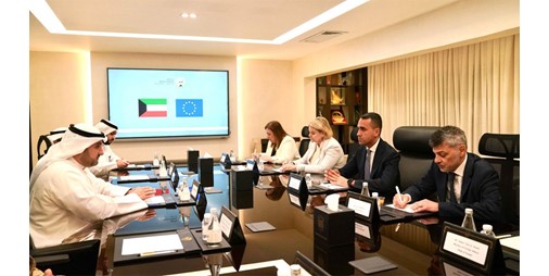 وكيل «الدفاع»: حريصون على ترسيخ الشراكة الإستراتيجية مع الاتحاد الأوروبي ومواصلة التنسيق والتشاور في القضايا ذات الاهتمام المشترك